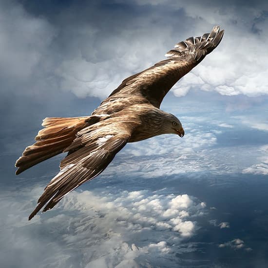 میثاق mm نرم افزار حسابداری پرنس | نسخه فروشگاهی (حرفه‌ای)