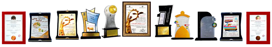 افتخارات پژواک